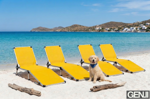 Alüminyum Katlanır Şezlong I MELON